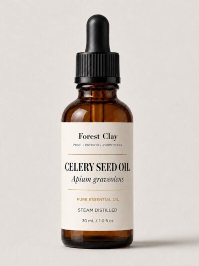 Celery Seed Oil Apium graveolens